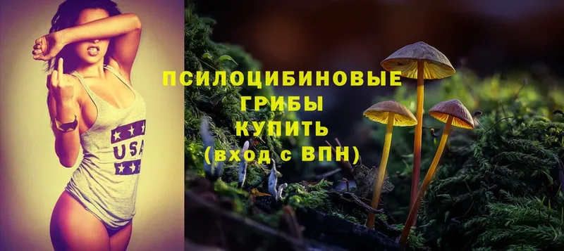 сколько стоит  кракен ONION  Галлюциногенные грибы Psilocybe  Александров 